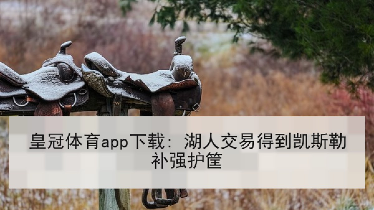 皇冠体育app下载: 湖人交易得到凯斯勒补强护筐 皇冠体育app下载: 湖人交易得到凯斯勒补强护筐